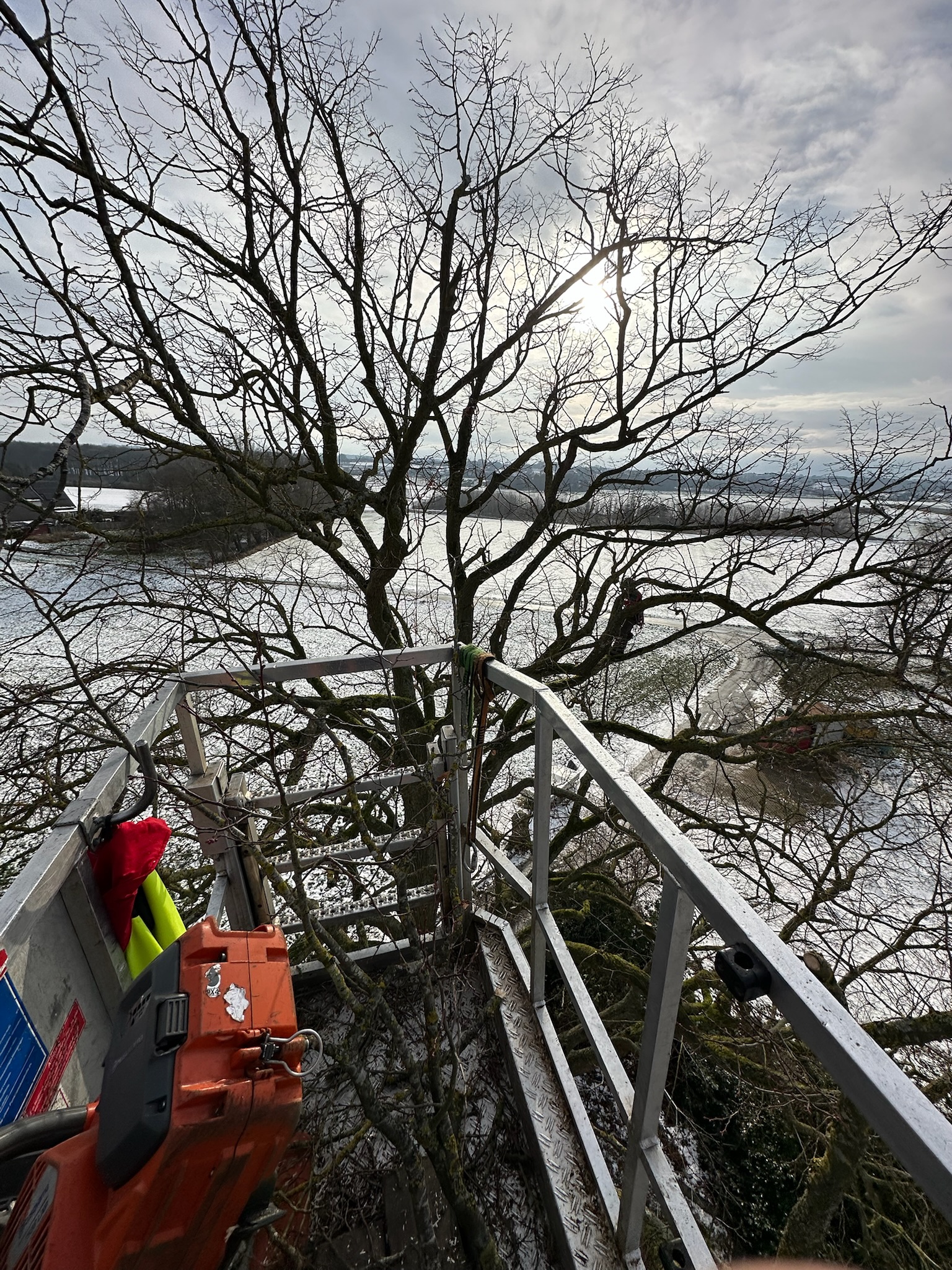 Blick aus dem Korb eines Hubsteigers bei der professionellen Baumpflege im Winter. Im Vordergrund liegt eine orangefarbene Motorsäge bereit, während im Hintergrund ein weiterer Baumpfleger in der Krone eines großen, kahlen Baumes über einer weiten, verschneiten Landschaft arbeitet.