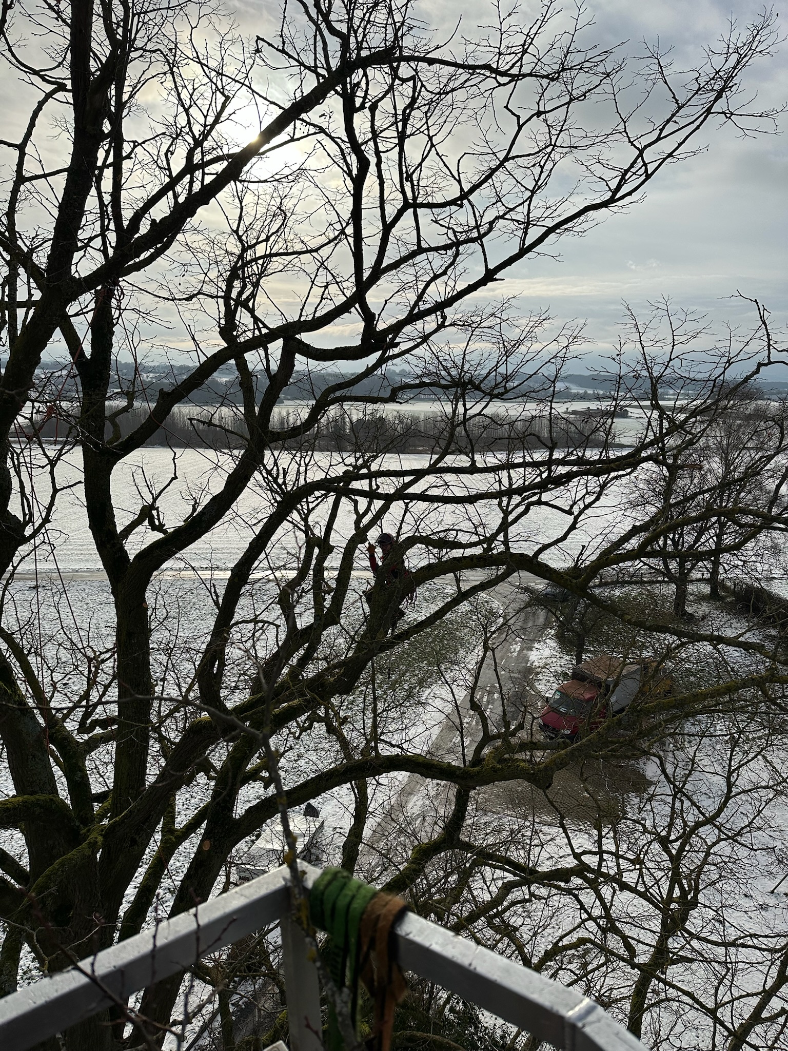 Blick über das Geländer eines Hubsteigerkorbs auf einen Baumpfleger, der gut gesichert tief im Geäst eines kahlen Laubbaumes arbeitet. Unten auf dem schneebedeckten Boden parkt ein rotes Fahrzeug vor einer weiten Winterlandschaft.