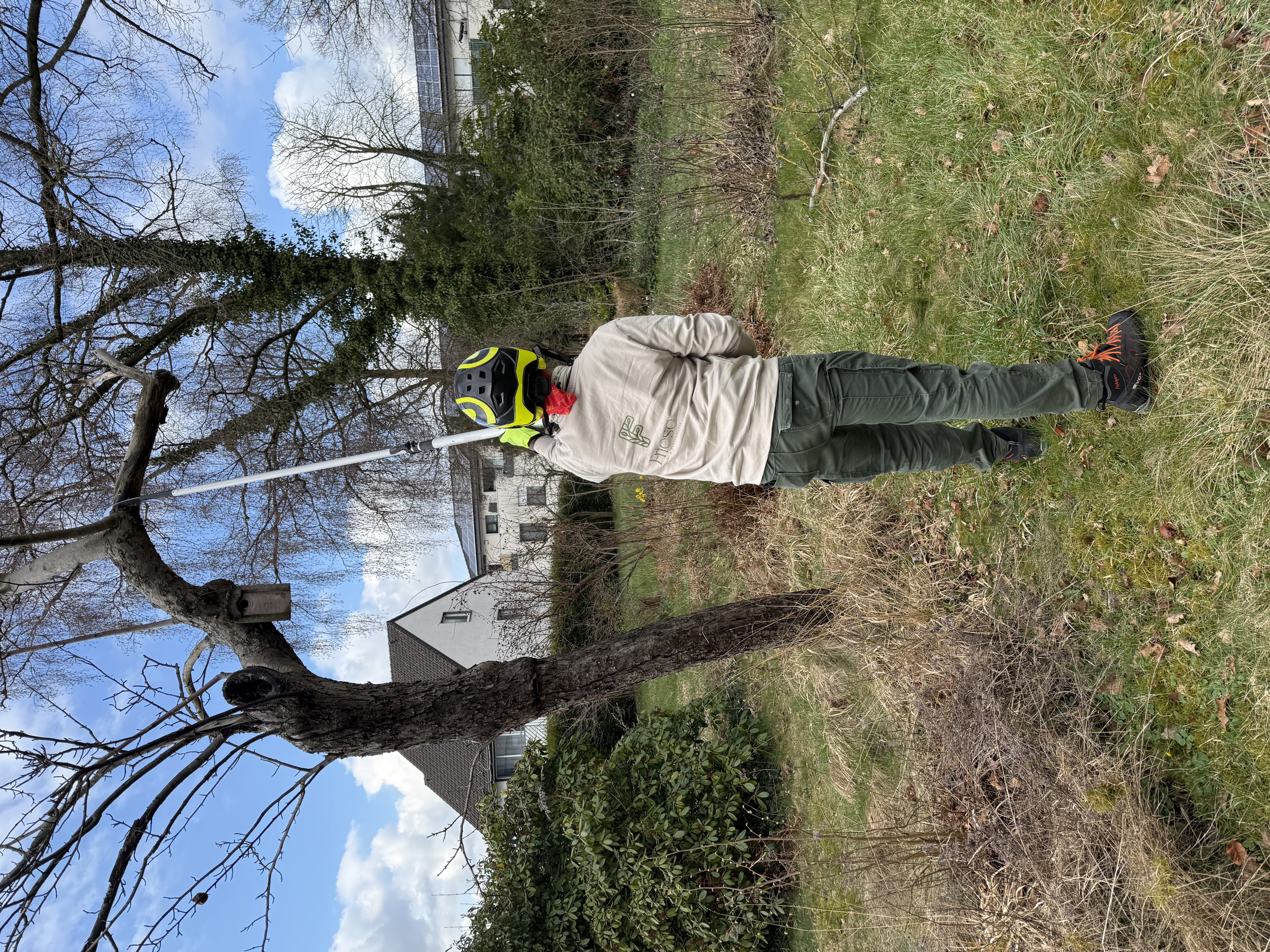 Ein Baumpfleger in Firmenkleidung und mit gelbem Schutzhelm beschneidet vom Boden aus mit einer langen Teleskopsäge zielgerichtet die Äste eines Baumes in einem privaten Garten. Am Stamm des Baumes ist ein kleiner Nistkasten angebracht, während im Hintergrund Wohnhäuser unter einem leicht bewölkten Himmel zu sehen sind.