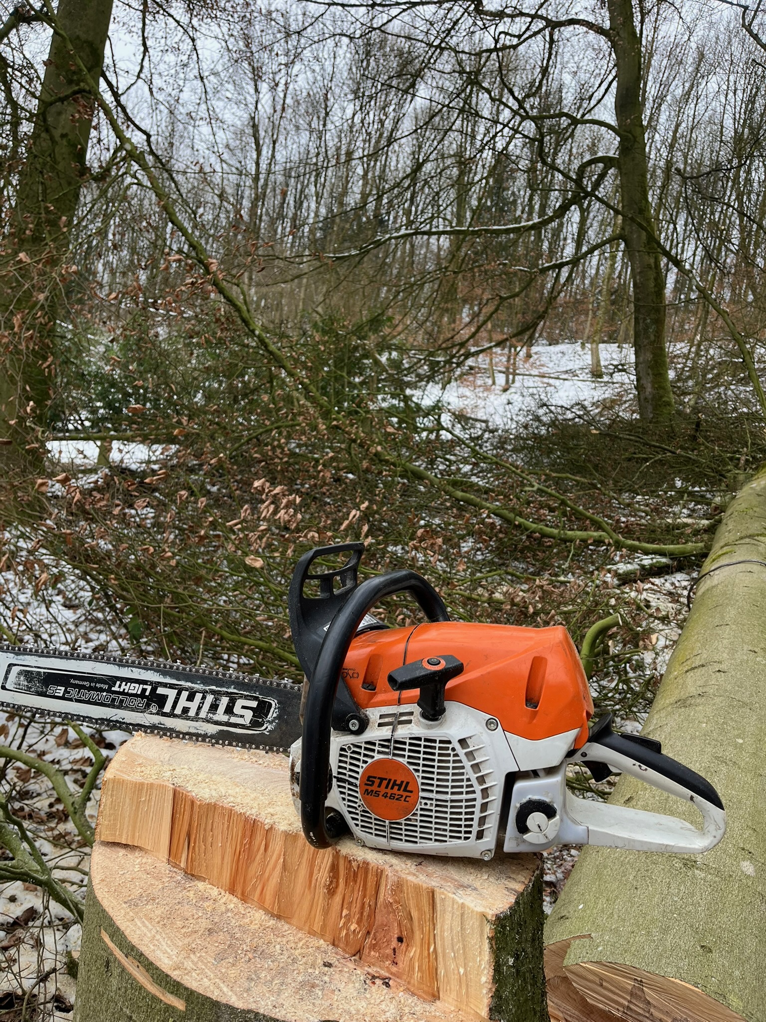 Nahaufnahme einer orange-weißen Profi-Motorsäge der Marke Stihl, die nach der Baumfällung auf einem frisch gesägten Baumstumpf abgestellt wurde. Die fachmännische Schnittführung ist auf dem Holz gut erkennbar. Rechts daneben liegt der gefällte Baumstamm in einem leicht verschneiten Winterwald.