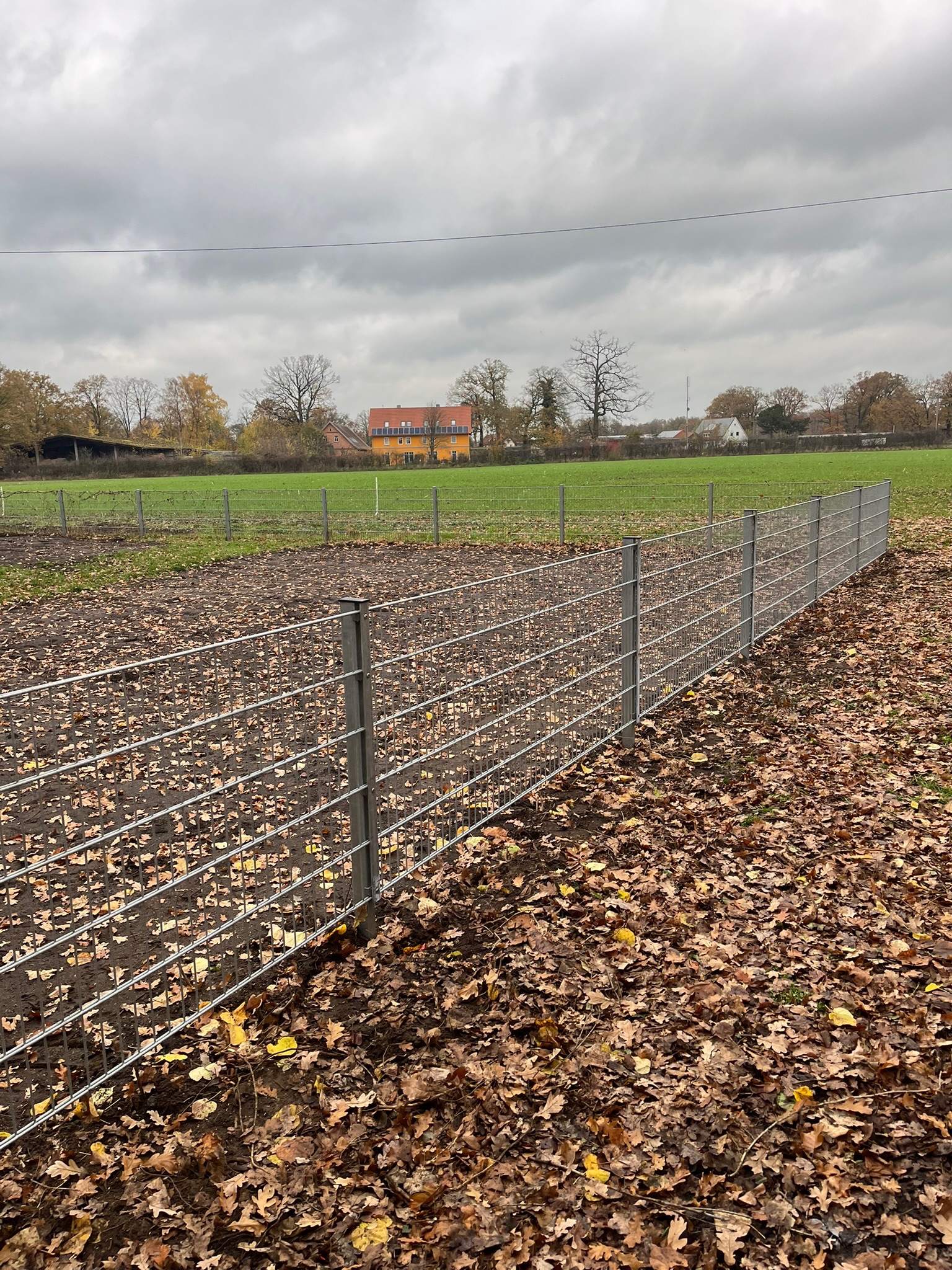 Ein fachgerecht montierter, verzinkter Doppelstabmattenzaun trennt ein mit Herbstlaub bedecktes Grundstück in einer geraden Linie sauber von einer großen, angrenzenden Grünfläche. Im Hintergrund erstreckt sich eine weite ländliche Umgebung mit Gebäuden und kahlen Bäumen unter einem bewölkten Himmel.